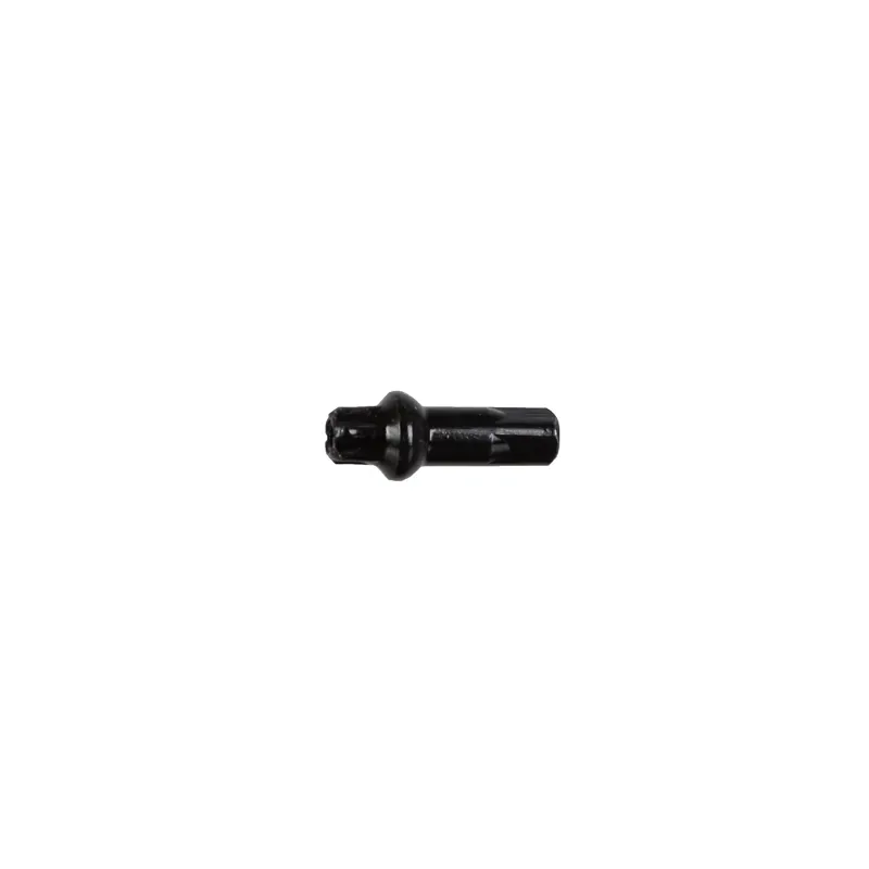 DT Swiss 14g/15mm Squorx Pro Brass in Black