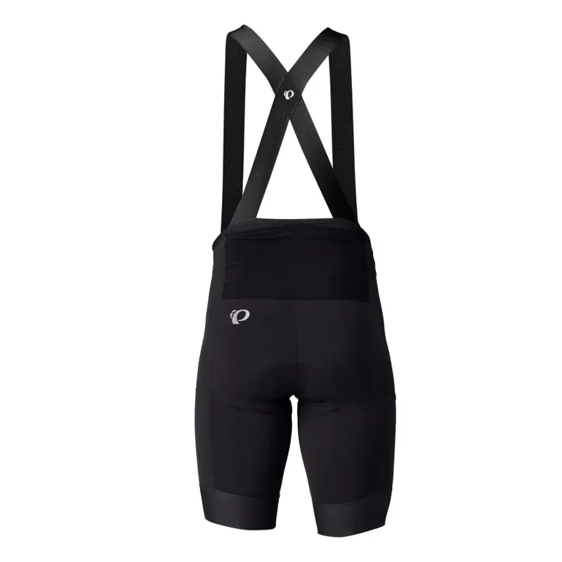 Pearl Izumi Expedition Pro Bib Shorts in Black-1