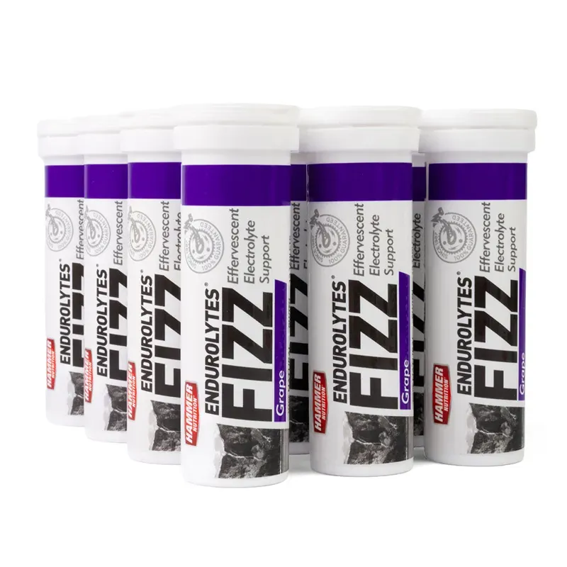 Hammer Nutrition Endurolytes Fizz Tablets 13-pack - 20x Grape-1