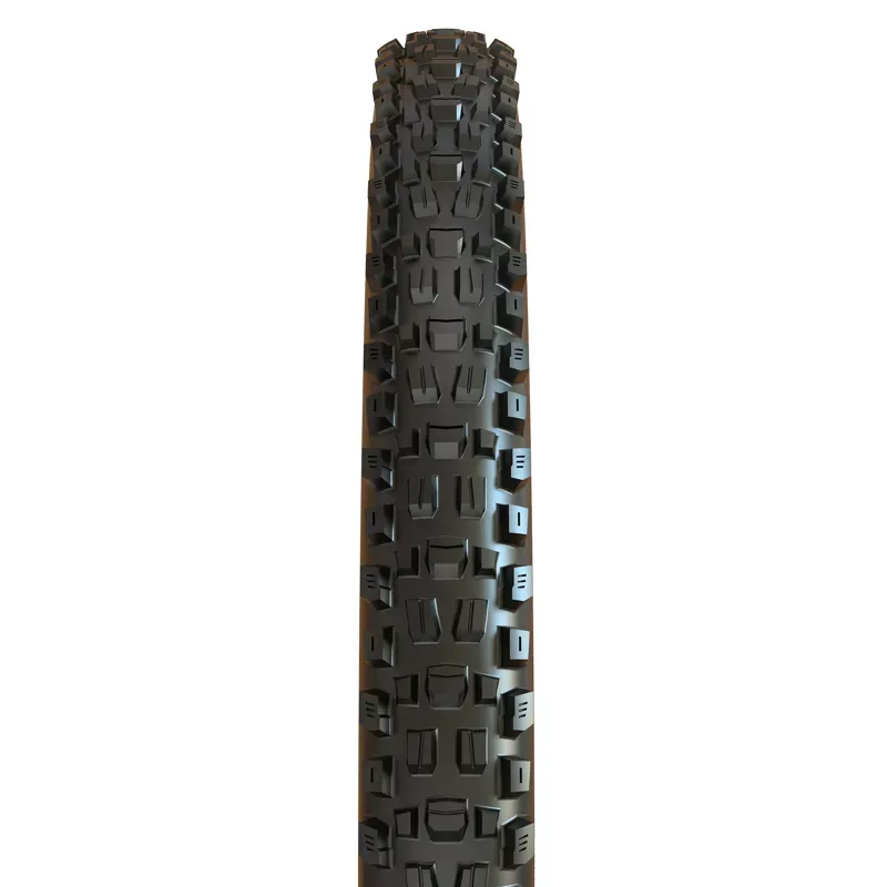 Maxxis Assegai Tire 29x2.5-inch MT/EXO/TR in Black-1