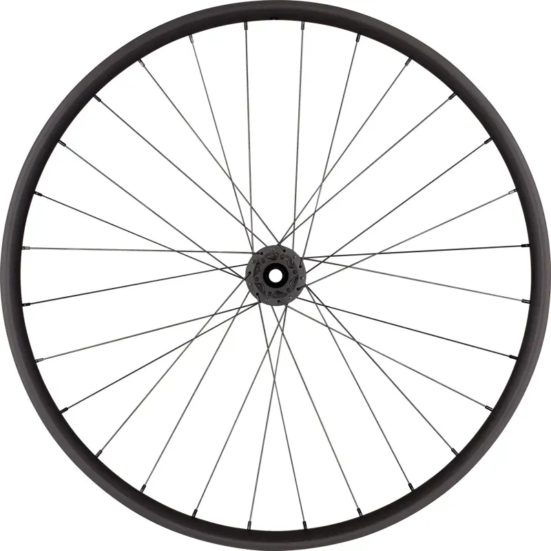 Specialized Roval Tr. 350 6B OE 29 Front and Rear Alloy 32h Disk 30mm -4